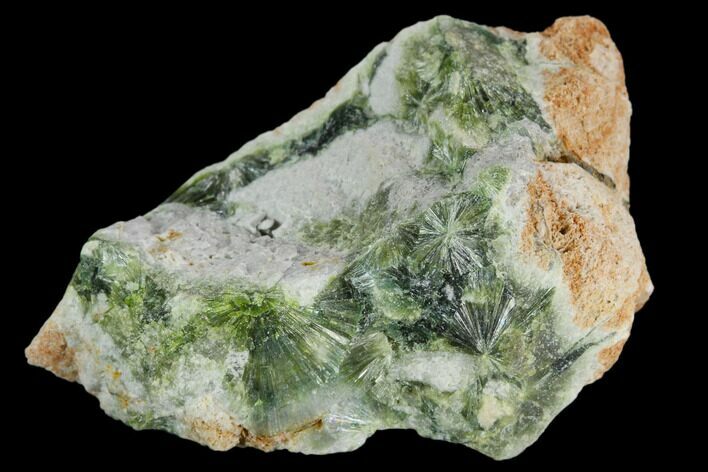 Radiating, Green Wavellite Crystal Aggregation - Arkansas #127106